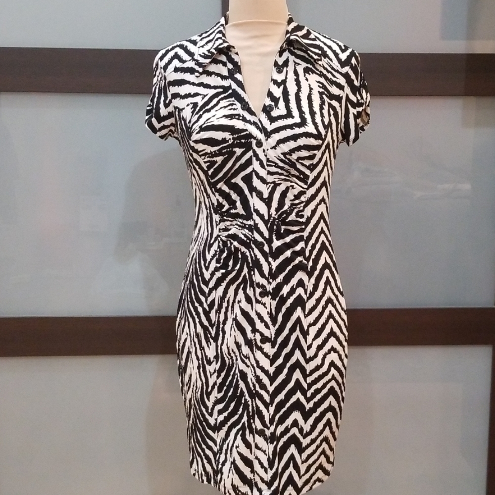 Zebra Print Dress